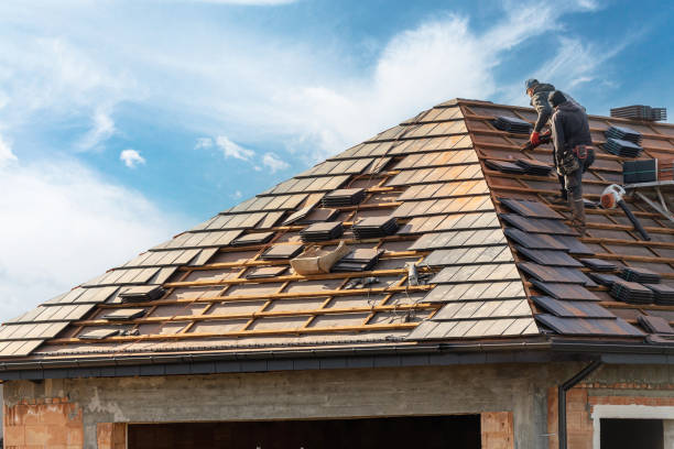 Best Steel Roofing  in Prairie Grove, AR